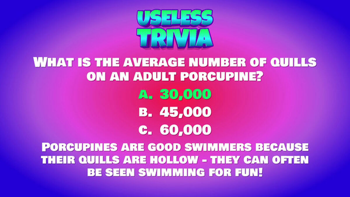 Useless Trivia Round Six image number null